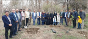 کاشت گروهی درخت توسط اعضای شورای ائتلاف استان البرز + تصاویر